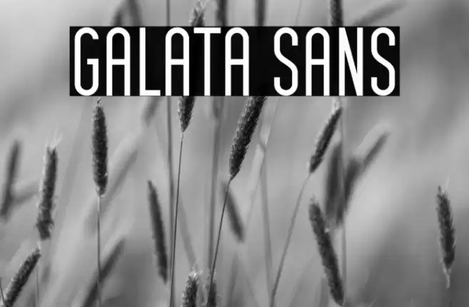 Galata Sans Font examples