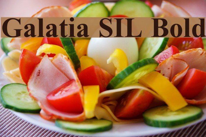 Galatia SIL Bold Font examples