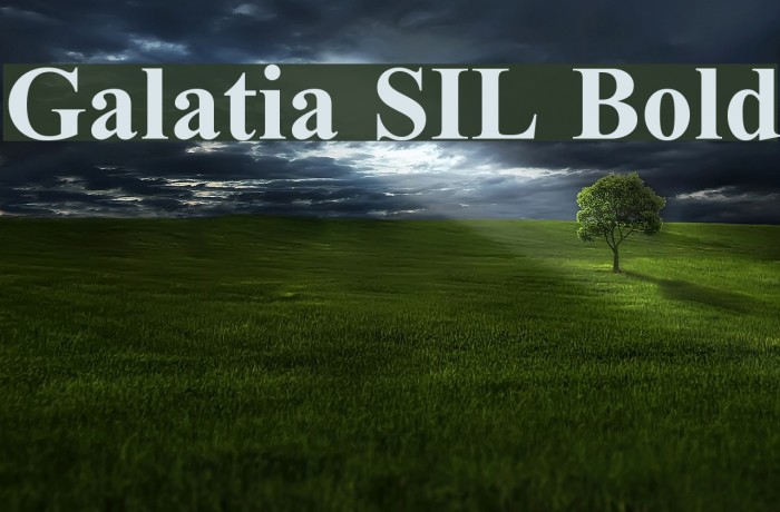 Galatia SIL Bold Font examples