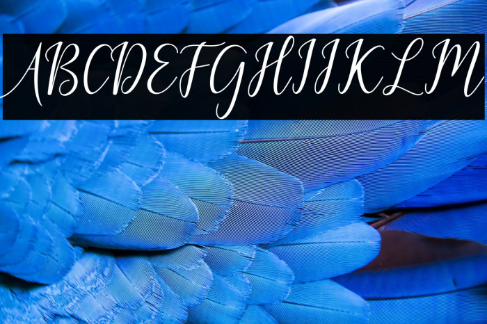 GalatiaScript Example 1