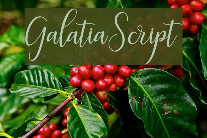 GalatiaScript Example 1