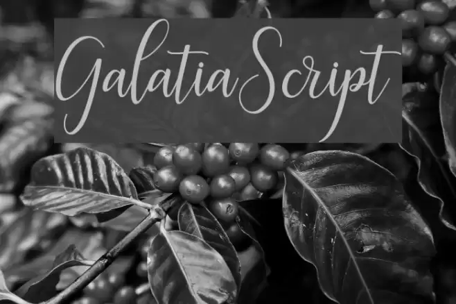 GalatiaScript Font examples