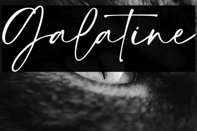 Galatine Font examples