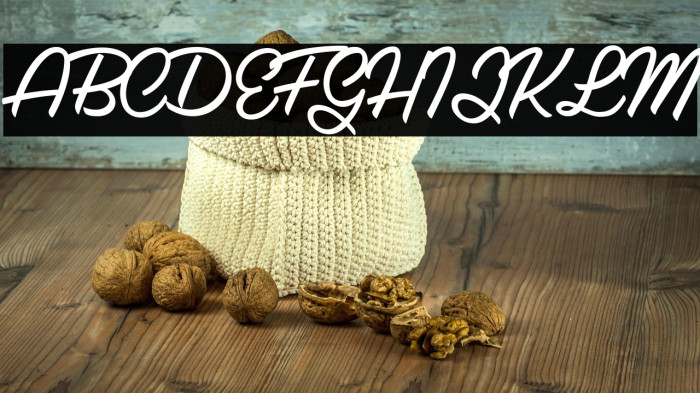 Galaxie Personal Use Regular Example 3