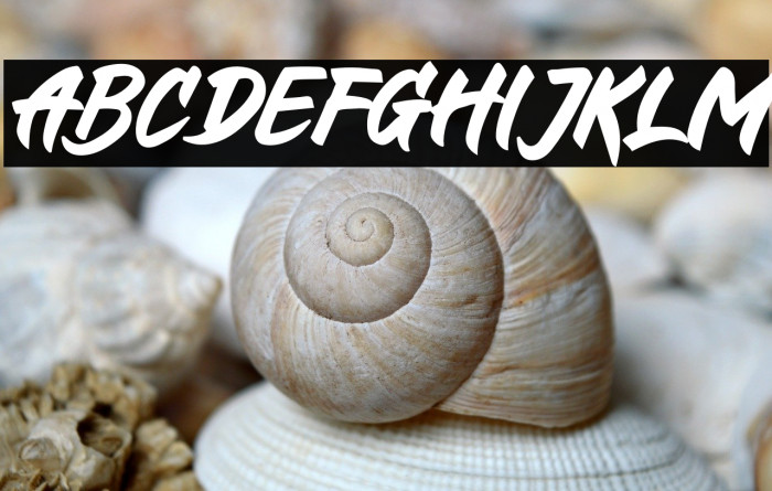 Galaxion Italic Example 2