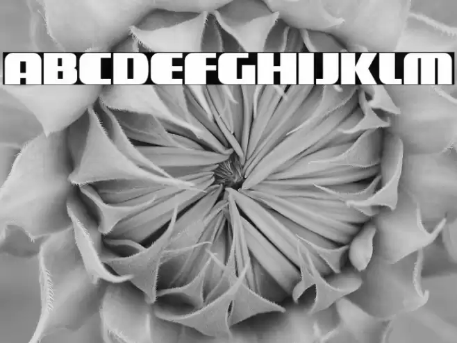 Galaxus Font examples