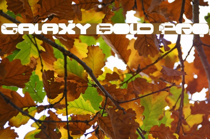 Galaxy Bold Pro Font examples