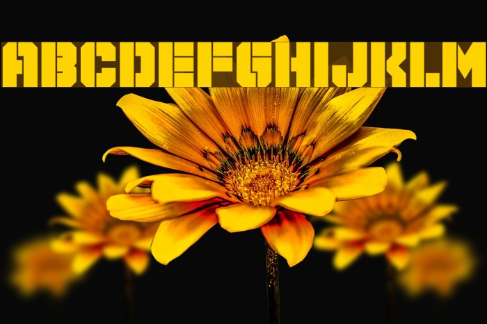 Galaxy Corps Font examples