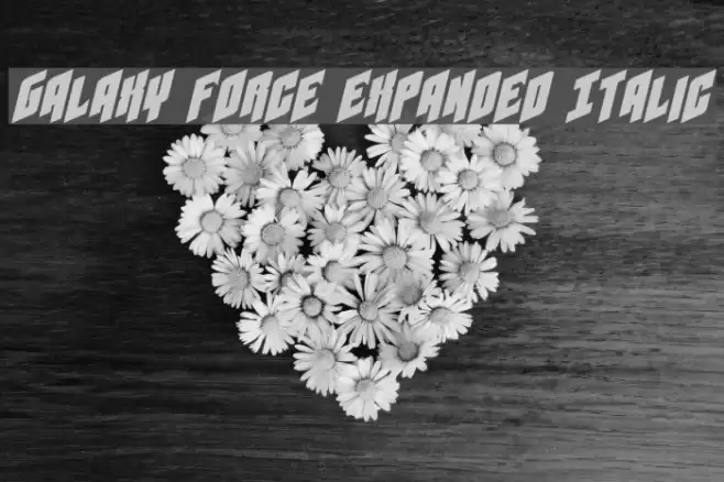 Galaxy Force Expanded Italic フォント examples