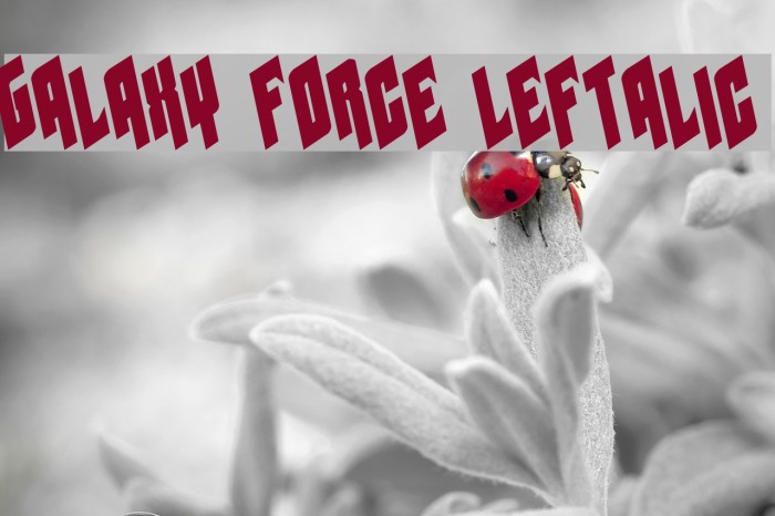 Galaxy Force Leftalic Example 1