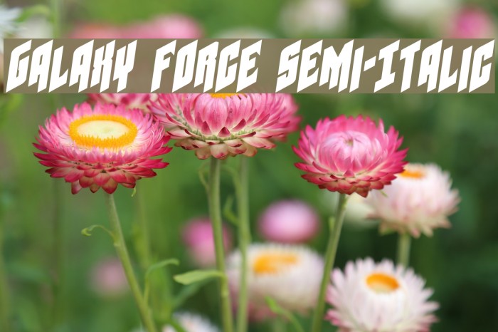 Galaxy Force Semi-Italic Font examples
