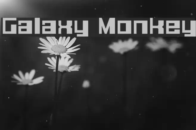 Galaxy Monkey Font examples