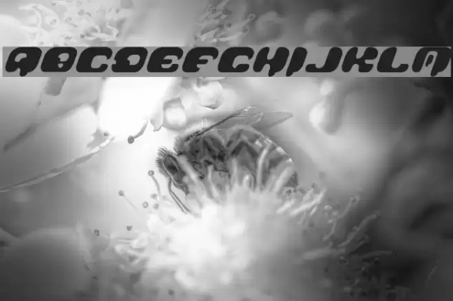 GalaxyTail Fonte examples