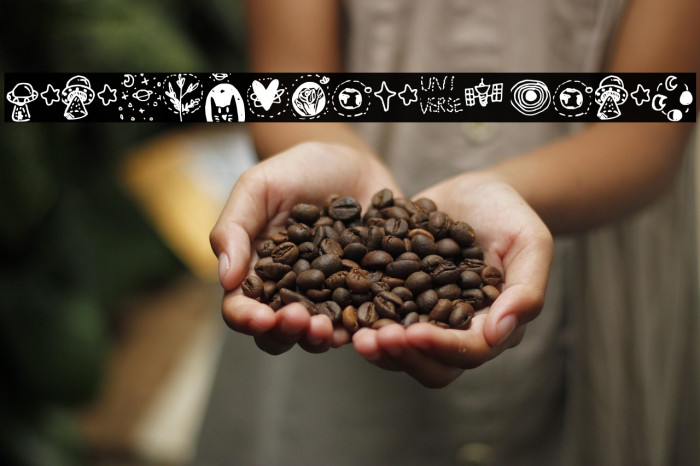 Galaxy_dingbats Regular Example 2