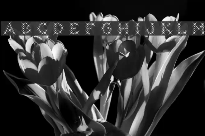 GalaxyfaceAno Font examples