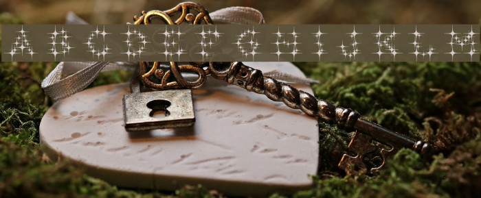 GalaxyfaceReg Example 1