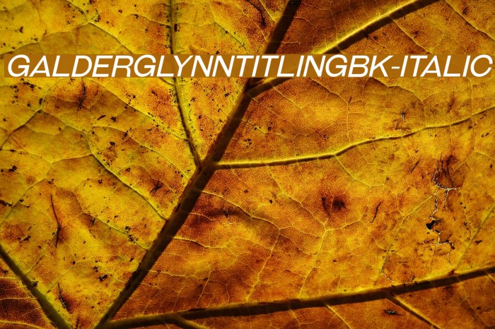 GalderglynnTitlingBk-Italic Example 2