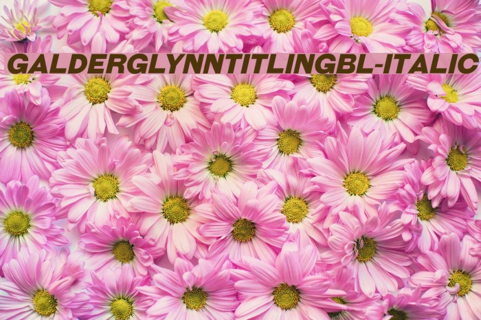 GalderglynnTitlingBl-Italic Font examples