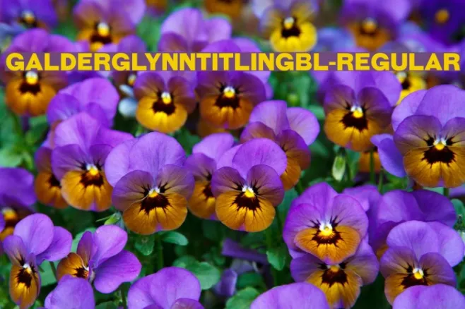 GalderglynnTitlingBl-Regular Example 1