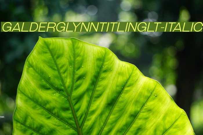 GalderglynnTitlingLt-Italic Example 3