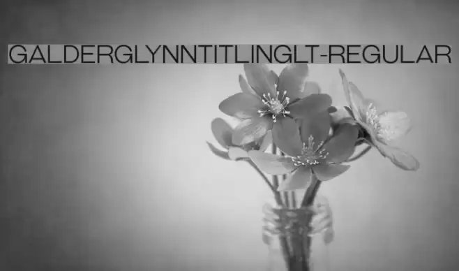 GalderglynnTitlingLt-Regular Font examples