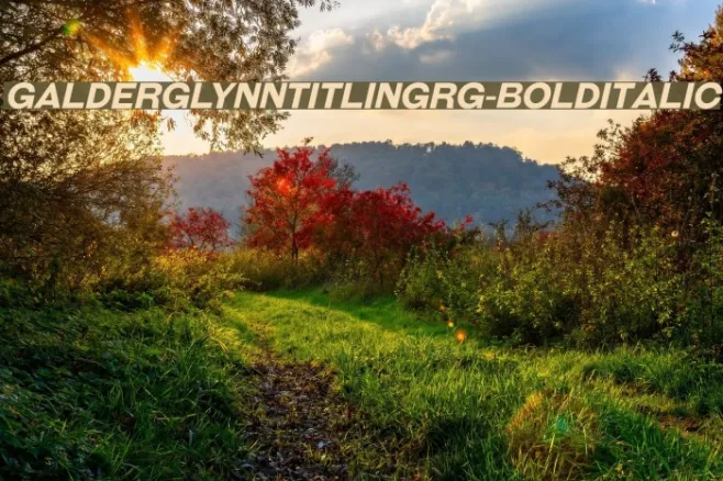 GalderglynnTitlingRg-BoldItalic Example 2