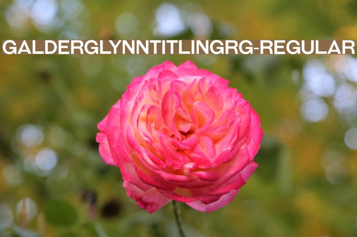 GalderglynnTitlingRg-Regular Font examples