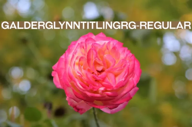 GalderglynnTitlingRg-Regular Example 3