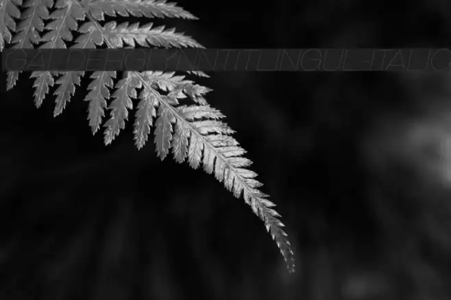 GalderglynnTitlingUl-Italic Шрифта examples