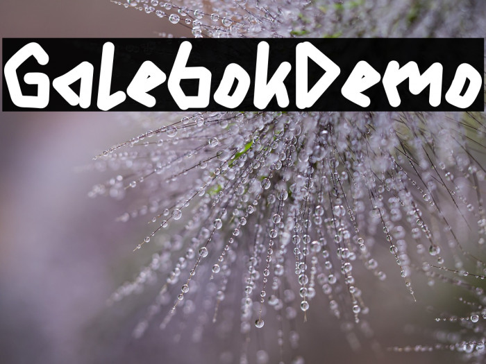 Galebok Demo Example 1