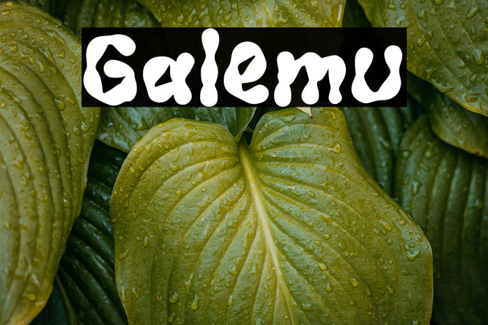 Galemu Example 2