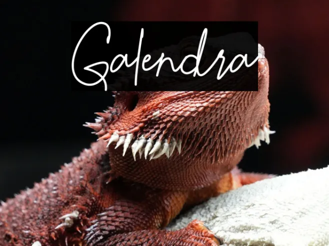 Galendra Example 1