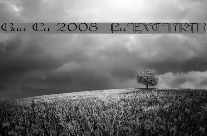 Galerìa Coruña 2008 by Lage EXT NRM Fuentes examples