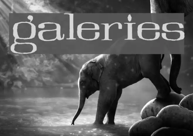 Galeries Font examples