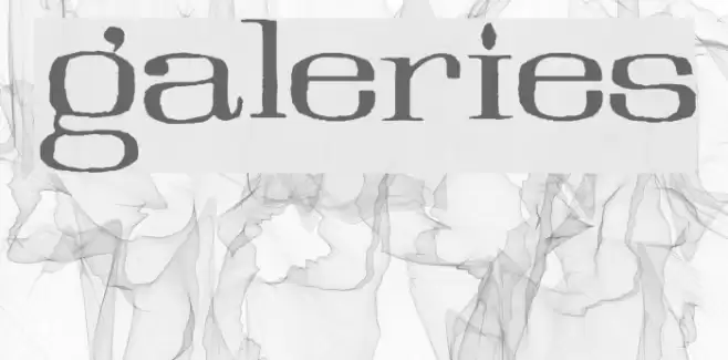 Galeries Font examples