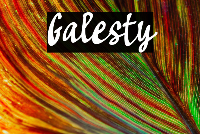 Galesty Example 2