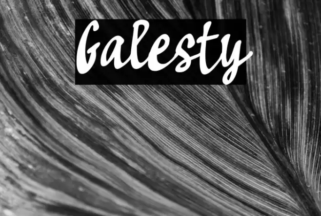 Galesty Font examples