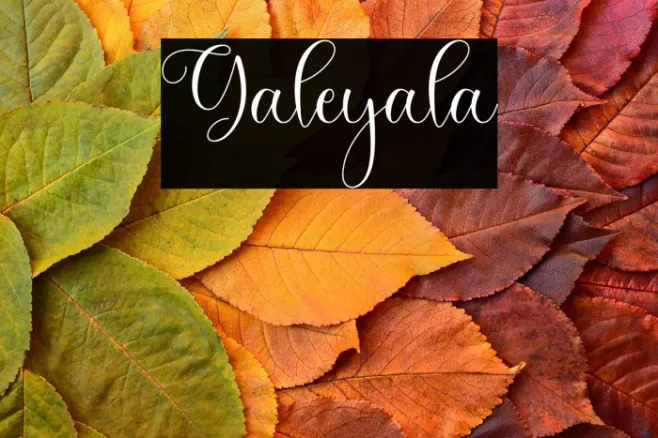 Galeyala Example 1