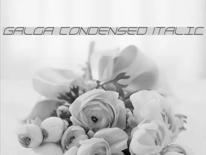 Galga Condensed Italic Font examples
