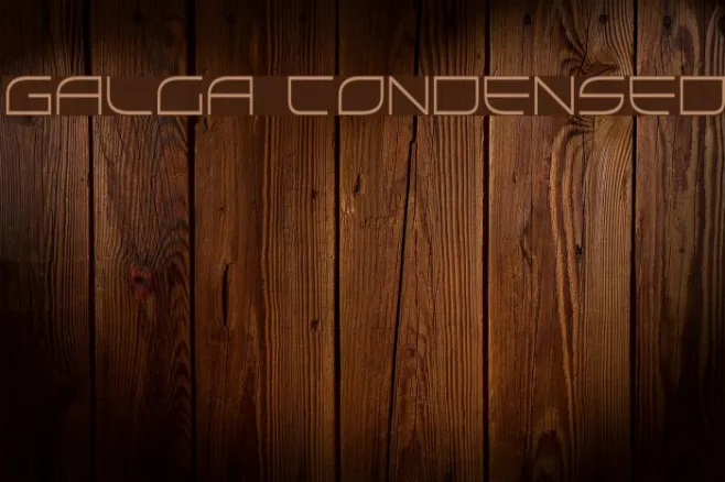 Galga Condensed Example 1