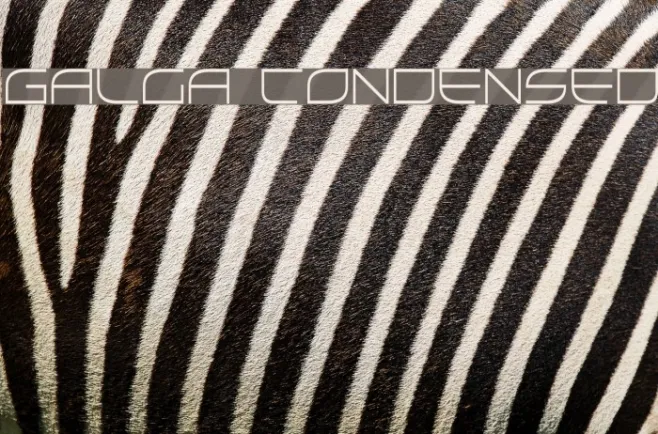 Galga Condensed Example 2