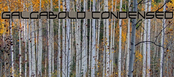 GalgaBold Condensed Font examples