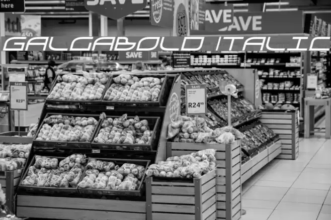 GalgaBold Italic Font examples