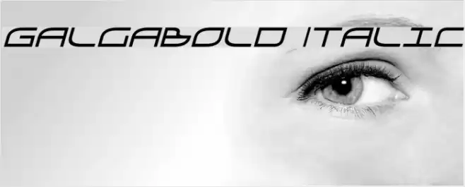 GalgaBold Italic Font examples