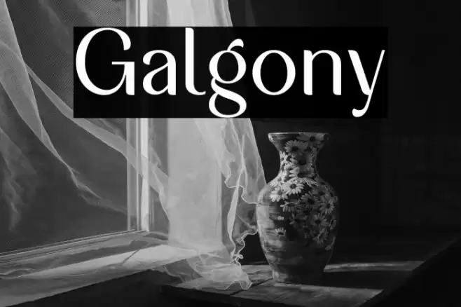 Galgony Font examples