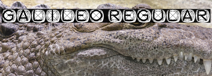 Galileo Regular Example 2