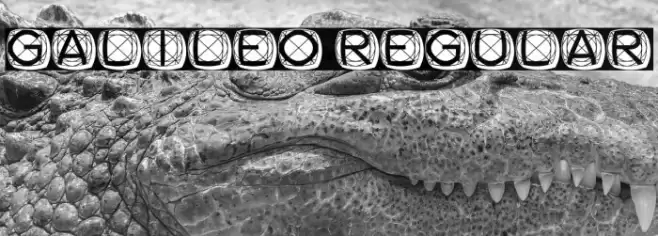 Galileo Regular Font examples