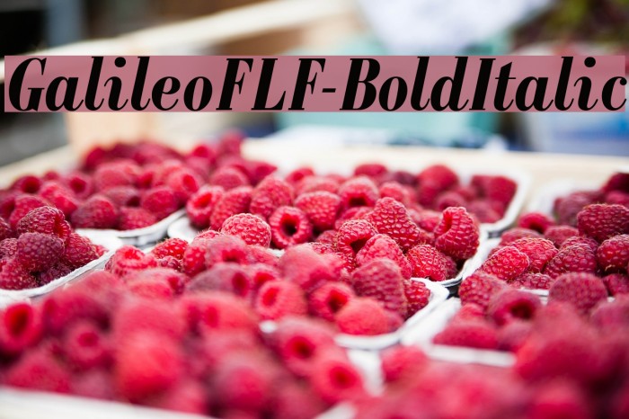 GalileoFLF-BoldItalic Font examples