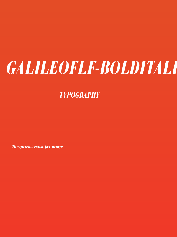 GalileoFLF-BoldItalic Poster