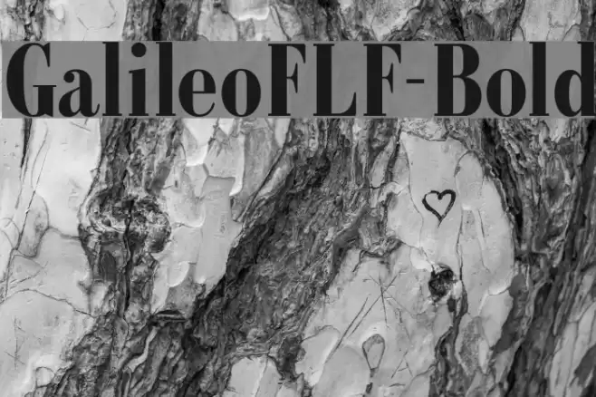 GalileoFLF-Bold Font examples